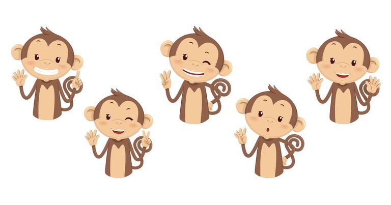 5 Monkeys