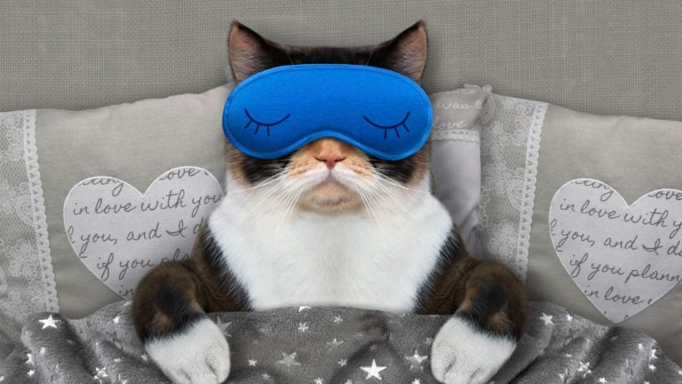 Sleep Tips